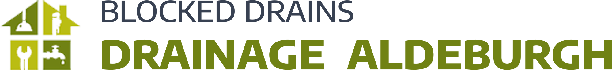 website logo